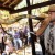 Concurso de Berrante mantém viva a alma sertaneja na Festa do Peão de Barretos