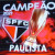 São Paulo supera o Palmeiras e volta a ser campeão paulista
