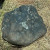 homem que encontrou meteorito de 38 kg na divisa entre Pernambuco e Piauí